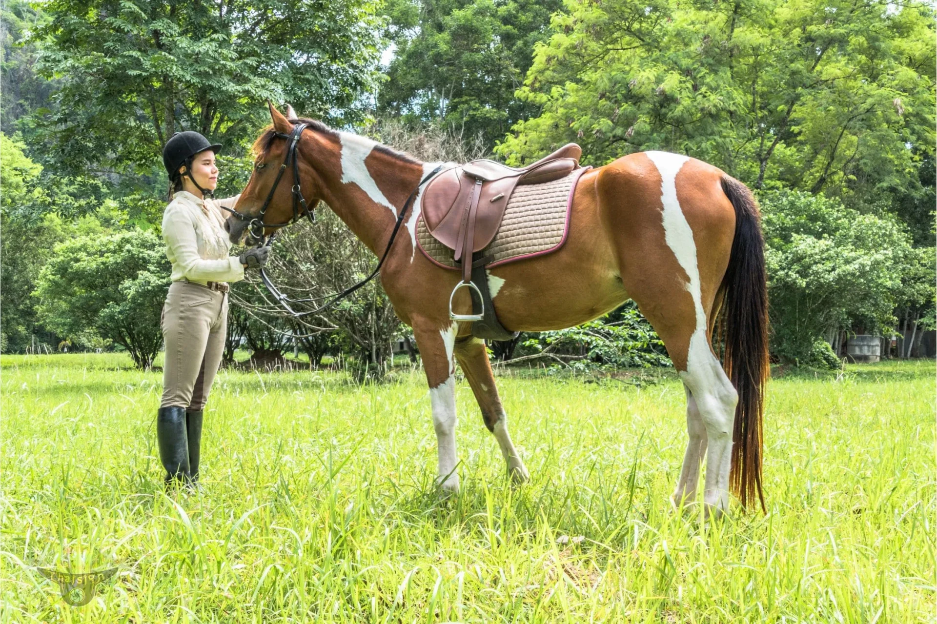 Horse Riding in Montenegro