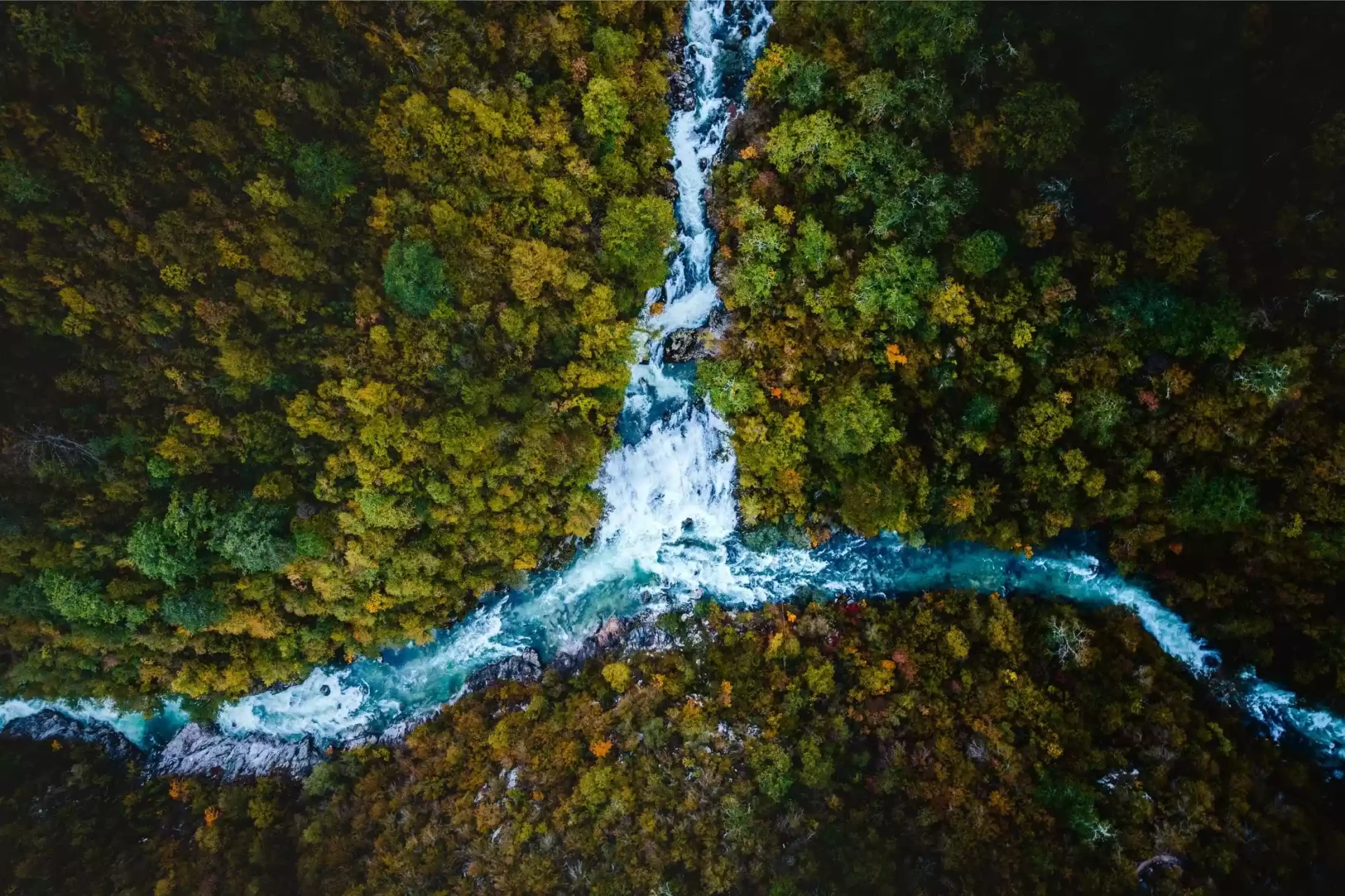 Canyoning in Montenegro
