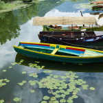 Skadar lake