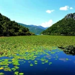 Skadar lake