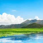 Skadar lake