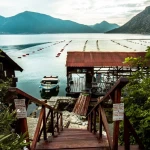 ''Školjke Boke'' - shellfish farm