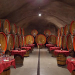 Vine cellar Šipčanik